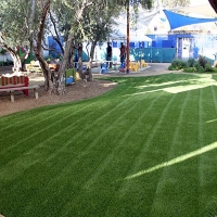 Turf Grass Daly City, California Landscape Design, Commercial Landscape