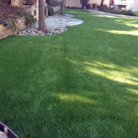 Turf Grass Gold River, California Garden Ideas, Backyard Landscaping