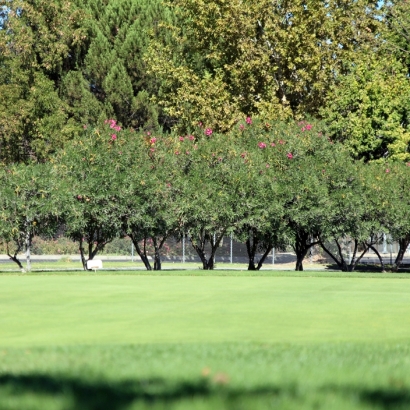 Artificial Grass Carpet Burlingame, California Best Indoor Putting Green