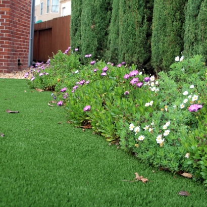 Artificial Grass Carpet Fetters Hot Springs-Agua Caliente, California Landscape Photos, Front Yard Landscaping