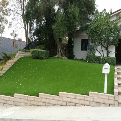 Artificial Grass Carpet Sierra City, California Landscaping, Front Yard Ideas