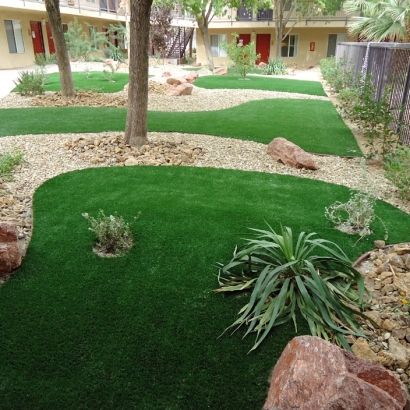 Artificial Grass Castro Valley, California Rooftop, Commercial Landscape