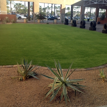 Artificial Grass Installation Alum Rock, California Garden Ideas, Commercial Landscape