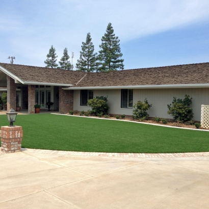 Artificial Grass Installation Colusa, California Gardeners, Front Yard Landscaping Ideas