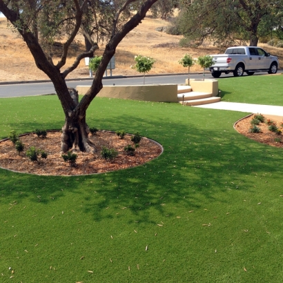 Artificial Grass Lodoga, California Lawns, Landscaping Ideas For Front Yard