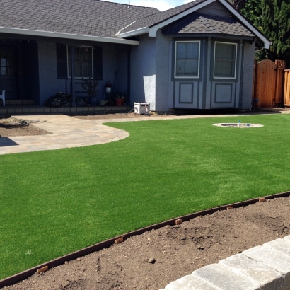 Artificial Grass Rancho Calaveras, California Landscaping Business, Front Yard Landscaping Ideas