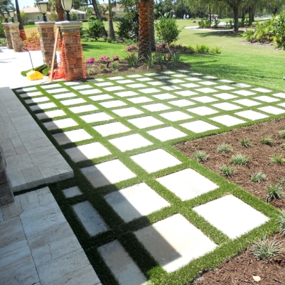 Artificial Lawn Fulton, California Landscape Ideas, Backyard