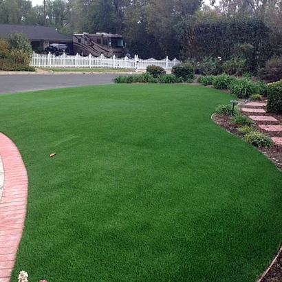 Artificial Turf Cost Lower Lake, California Lawns, Front Yard Landscaping Ideas