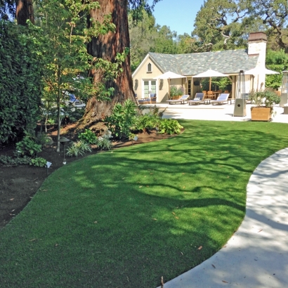 Artificial Turf Cost Nevada City, California Landscape Design, Commercial Landscape