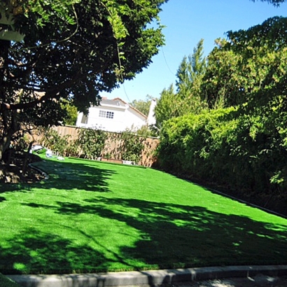 Artificial Turf Cost Shingle Springs, California Landscape Rock, Backyard Designs