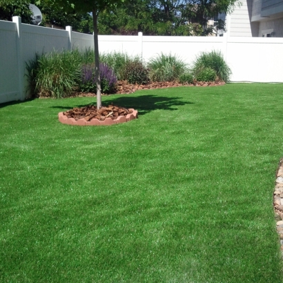 Artificial Turf Installation Nicolaus, California Garden Ideas, Backyard Makeover