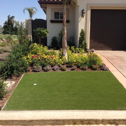 Artificial Turf Installation San Lorenzo, California Lawn And Landscape, Front Yard Landscaping Ideas