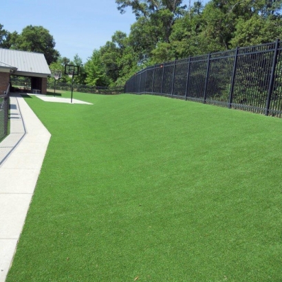 Artificial Turf Williams, California Landscape Design, Commercial Landscape