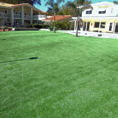 Fake Grass Carpet Richmond, California Landscape Ideas, Natural Swimming Pools