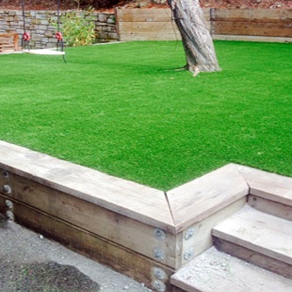 Fake Grass Valley Ford, California Landscape Ideas, Backyard Ideas