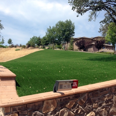 Fake Lawn Bear Valley, California Lawns, Front Yard