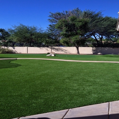 Fake Lawn Brentwood, California Landscape Rock, Front Yard Landscaping Ideas