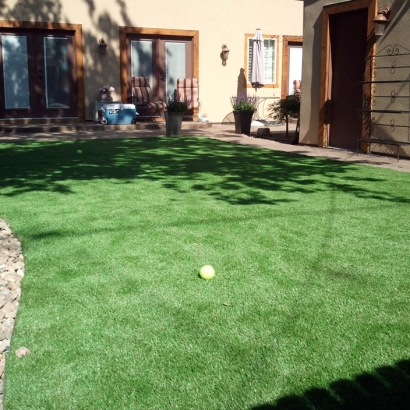 Fake Lawn East Oakdale, California Lawns, Backyards