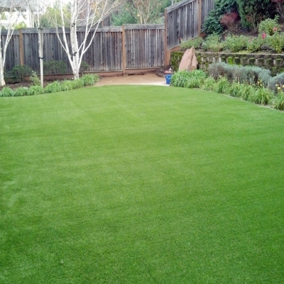 Fake Lawn Santa Rosa, California Garden Ideas, Backyard Makeover