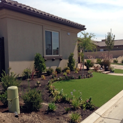 Fake Turf Hayward, California Landscape Photos, Front Yard Landscaping Ideas