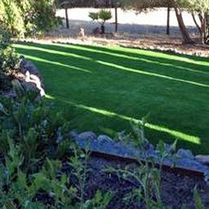 Fake Turf Lagunitas-Forest Knolls, California Landscaping Business, Backyards