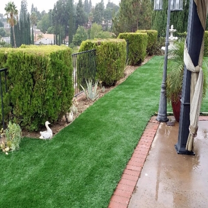 Fake Turf Monte Rio, California Gardeners, Backyard Landscaping Ideas