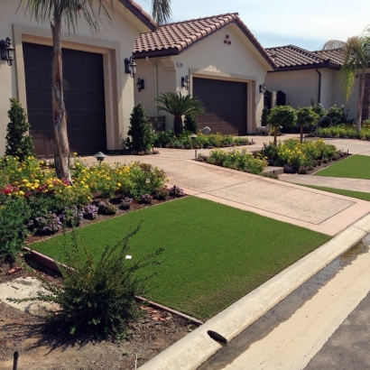 Fake Turf Rough and Ready, California Landscape Design, Landscaping Ideas For Front Yard