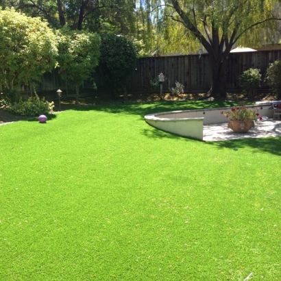 Faux Grass Bethel Island, California Lawns, Backyard Garden Ideas