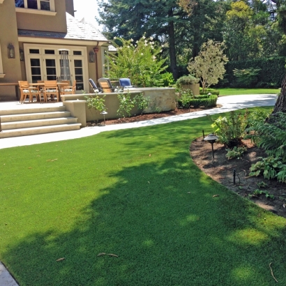 Faux Grass Dobbins, California Lawn And Garden, Backyard Landscaping Ideas