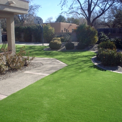 Faux Grass Hartley, California Backyard Playground, Front Yard Ideas