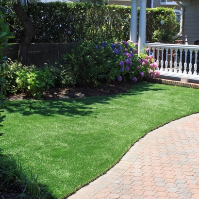 Faux Grass Madison, California Gardeners, Front Yard Landscaping