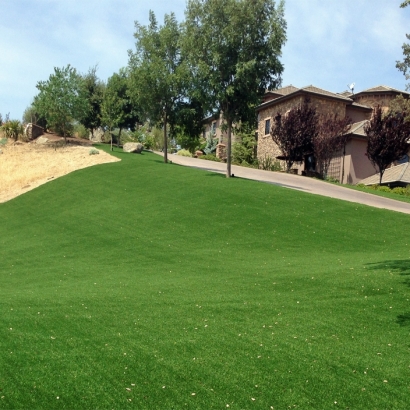 Faux Grass Mountain View, California Lawn And Landscape, Front Yard Design