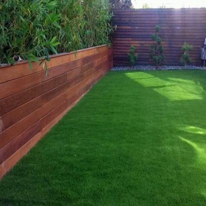 Faux Grass North Richmond, California Roof Top, Backyard Designs