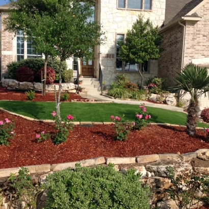 Grass Carpet Auburn, California Gardeners, Front Yard Landscaping