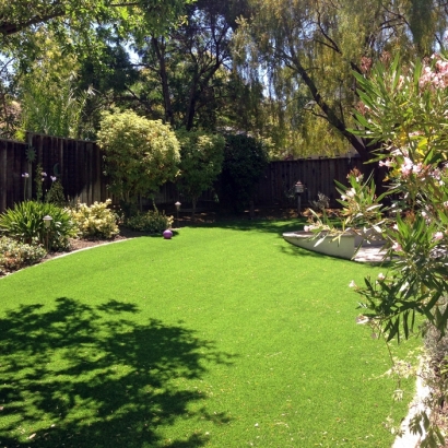 Grass Carpet Lake of the Pines, California Landscape Ideas, Small Backyard Ideas