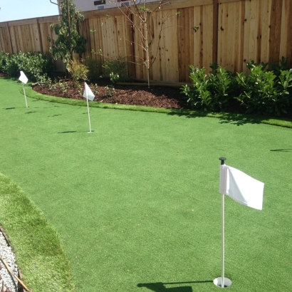 Grass Installation Manteca, California Lawns, Backyard Makeover