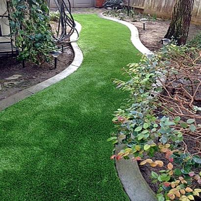 Grass Installation Murphys, California Roof Top, Small Backyard Ideas