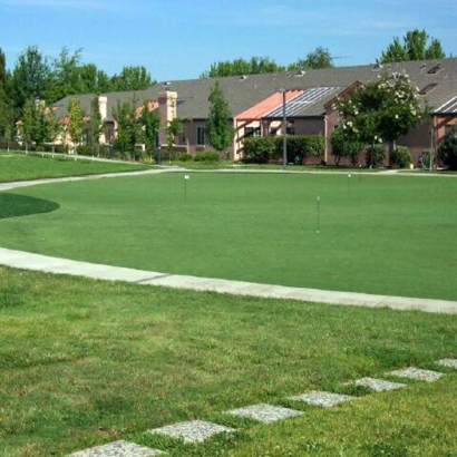 Grass Installation Stonyford, California Roof Top, Commercial Landscape