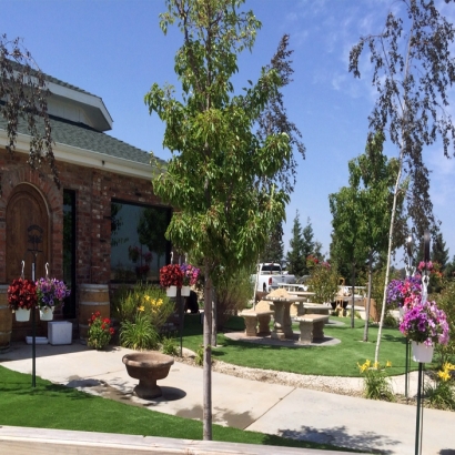 Grass Turf Auburn Lake Trails, California Home And Garden, Commercial Landscape