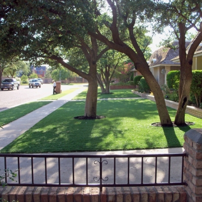 Grass Turf Clearlake, California Landscape Ideas, Front Yard Landscape Ideas