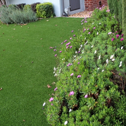 Grass Turf Deer Park, California Backyard Deck Ideas, Front Yard Design