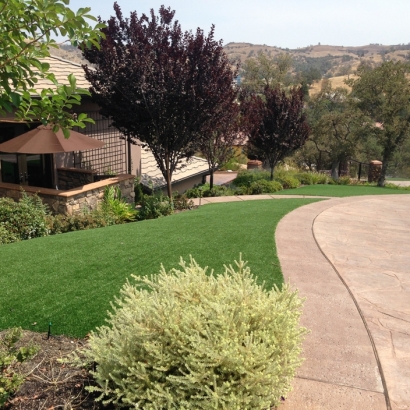 Grass Turf Lathrop, California Landscaping, Front Yard