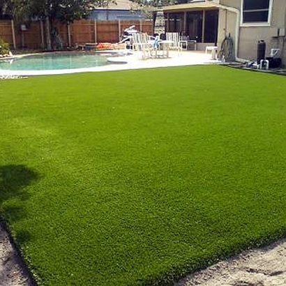 Grass Turf Riverbank, California Landscaping, Backyard Landscape Ideas