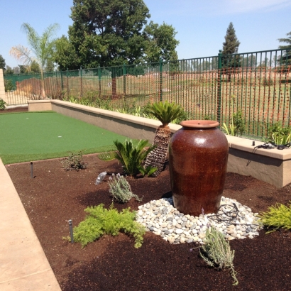 Grass Turf Vallejo, California Putting Greens, Backyard Landscaping