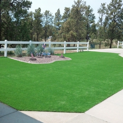 Green Lawn Acampo, California Landscape Design, Front Yard Landscaping