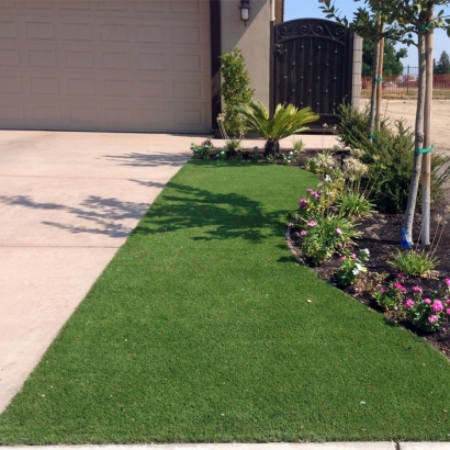 Lawn Services Alleghany, California Landscape Ideas, Landscaping Ideas For Front Yard