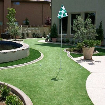 Lawn Services Newark, California Rooftop, Backyard Landscape Ideas