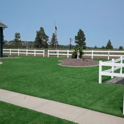 Lawn Services Tiburon, California Roof Top, Small Backyard Ideas