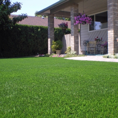 Outdoor Carpet East Richmond Heights, California Backyard Deck Ideas, Small Front Yard Landscaping