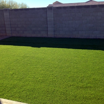 Outdoor Carpet Martinez, California Design Ideas, Backyard Design